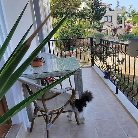 In The Center Of Kalkan, 350 Meters From The Sea Merkezde Denize 350 Metre